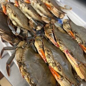 Authentic Maryland Soft Shell Crabs