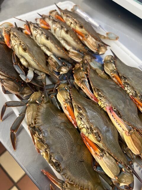 Authentic Maryland Soft Shell Crabs