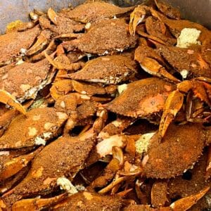 Maryland steamed crabs shipped overnight