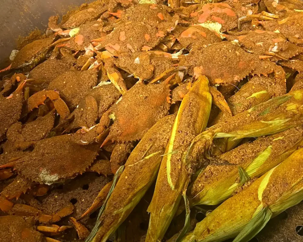 Maryland Steamed Crabs Nottingham